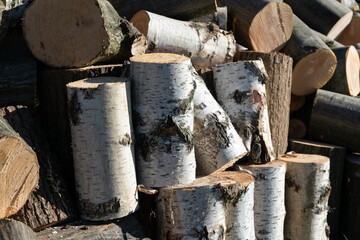 Birch log cut in short and stacked, white bark with stripes