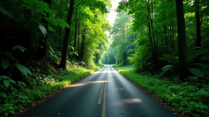 Obraz premium Serene Forest Road A Sunlit Path Through Lush Green Canopy, Leading to Tranquil Destination