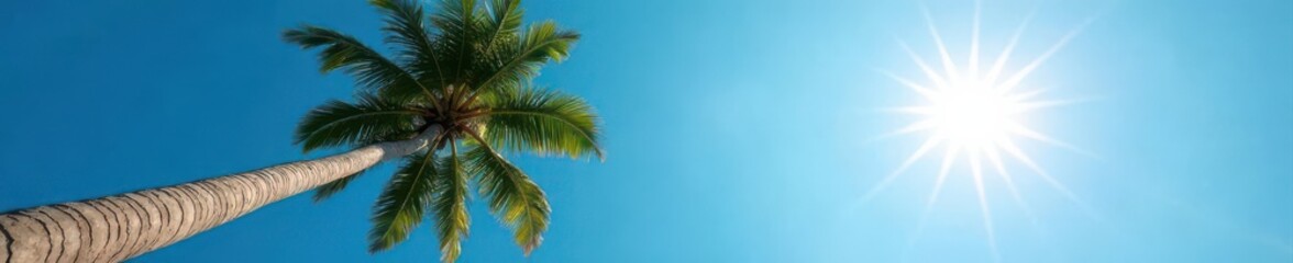 Majestic palm reaching for clear blue sky, sun shining , blue, paradise, growth