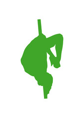pole dance silhouette
