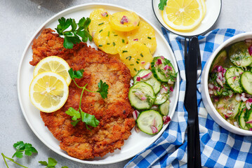 Traditional Viennese schnitzel on a plate with cucumber and potato salad.selective focus