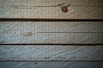 Close-up view of weathered grey wood planks with subtle linear texture and knot detail