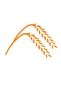 froment bl&eacute;