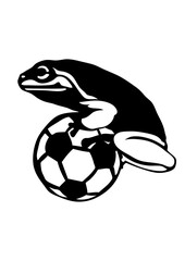 Obraz premium grenouille sur ballon football logo sport