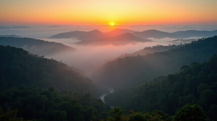 Fototapeta premium Sunrise over a misty jungle, dense morning fog rolling through treetops, golden rays piercing through lush greenery, illuminating the vibrant life of the tropical wilderness.