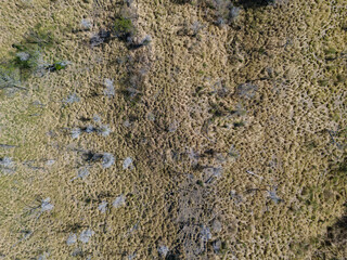 Grassland landscape with sparse trees captured from above on sunny day