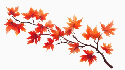 Vibrant Maple Leaves Branch: Autumnal Beauty Captured in High-Resolution Image