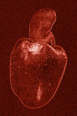 Isolated print of the silhouette of a cashew in shades of red on a red background