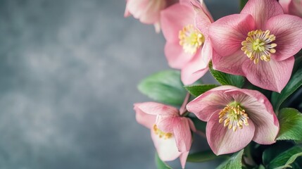 Obraz premium Beautiful pink flowers in a floral arrangement with green leaves