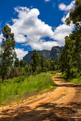 Jeep track up to Mariepskop