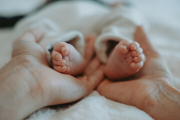 Les pieds d'un jeune nouveau-né avec les mains des parents