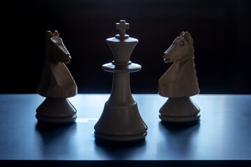 rey y caballos blancos de ajedrez