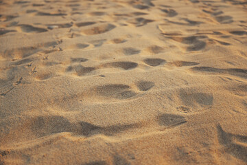 Texture of fine brown sand on the beach