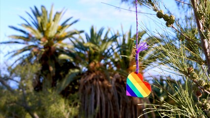 Rainbow heart hanging from a Canary Island pine, with blurred palm trees in the background,...