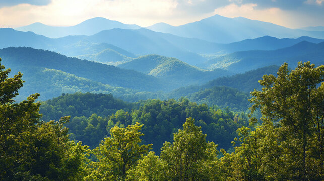 The serene beauty of the mountains takes your breath away with every view.