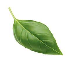 Obraz premium Close-up image of a single green leaf showcasing the intricate veins and natural texture against a soft background isolated on transparent background..