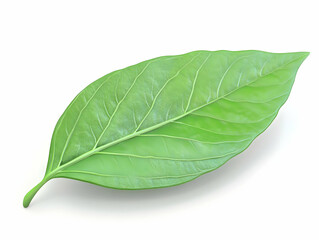 Obraz premium A vibrant green leaf showcasing its intricate texture and natural beauty, perfect for eco-friendly designs and nature themes.