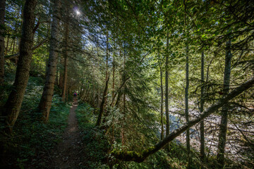 Obraz premium Explore the pristine beauty of Zillergrund valley in the Zillertaler Alps near Mayrhofen, Austria during the sunny summer season