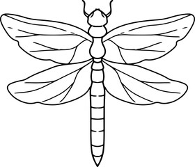 dragonfly doodle insect