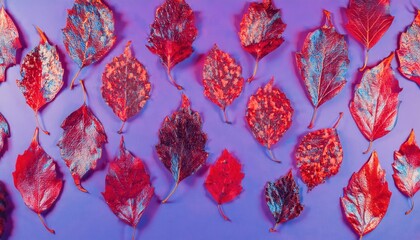  vibrant red autumn leaf on purple background with artistic blue highlights for modern design, texture, and decor
