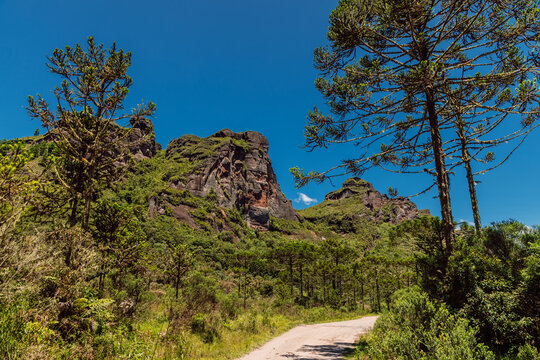 Morro dos Cabritos canyon with araucaria trees and road in Santa Catarina, Brazil