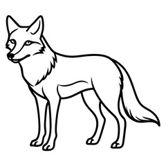 Coyote Outline Sleek Vector Illustration