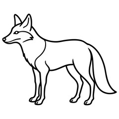 Coyote Outline Sleek Vector Illustration