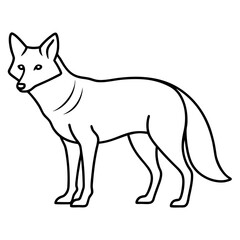 Coyote Outline Sleek Vector Illustration