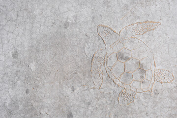 Cracked concrete wall covered with gray cement surface and seal with turtle design. Grey old wall with shabby damaged plaster or cement of vintage dirty exfoliating plaster. Mock up.