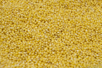 Whole millet grains top view macro