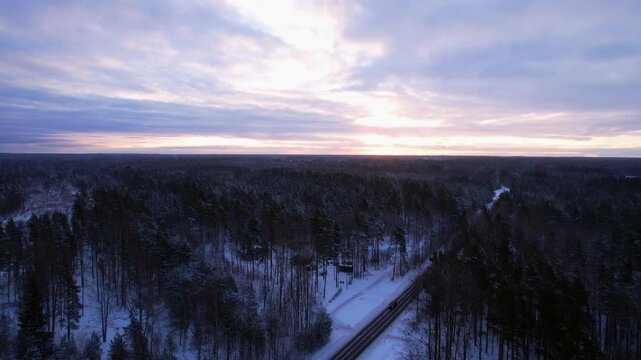 aerial view of winter forest landscape