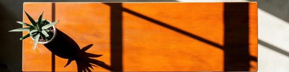 Minimalist Urban Plant Geometry Vibrant Orange Surface with Architectural Shadow Play - Contemporary Design Aesthetic and Spatial Composition Innovation