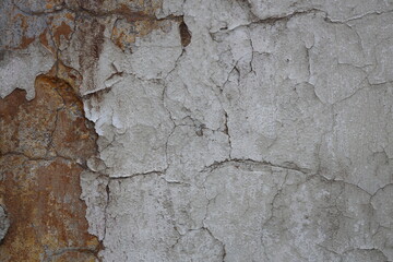 A detailed shot of a wall with flaking paint, often used for texture or background purposes.