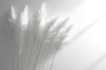 A beautiful arrangement of white pampas grass, elegantly displayed with soft light creating a serene, minimalist atmosphere. Perfect for home decor.