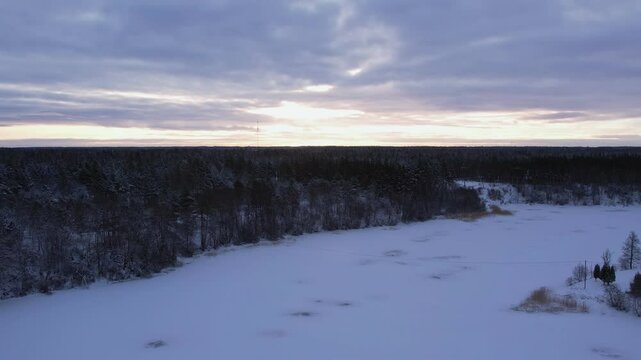 aerial view of winter forest landscape