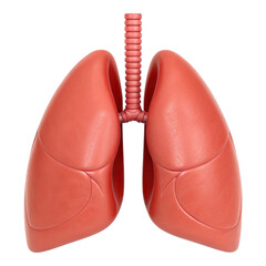 3D lungs icon representing respiratory health and anatomy, isolated on transparency background