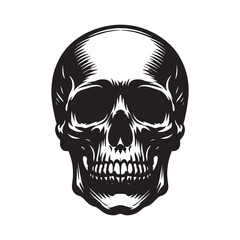 Fototapeta premium Web