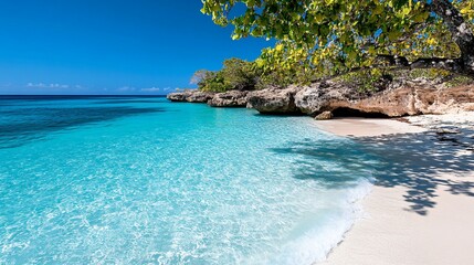 Obraz premium Serene Tropical Beach with Crystal Clear Water and Lush Green Trees Under Bright Blue Sky