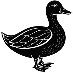 duck vector illustration