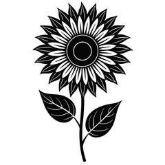 sunflower vector illustration