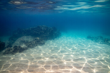 underwater world wide angle