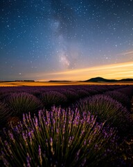 Fototapeta premium Majestic Night Sky Over Lavender Field, Milky Way, Serene Landscape, Nature's Beauty