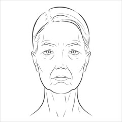 Woman’s face sketch, line vector drawing illustration, youth and age female. Minimalist black-and-white design in realistic style, perfect for skincare ads, anti-aging campaigns, beauty concept
