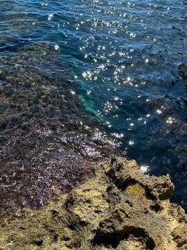 Sea and rock overgrown algae