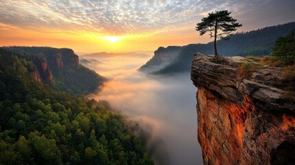 Misty Valley Sunrise Golden Light Illuminates Clifftop Tree