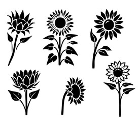 Set of black and white flowers. Vector sunflowers.