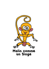malin comme un singe
