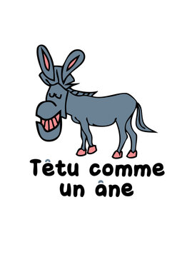 t&ecirc;tu comme un ane