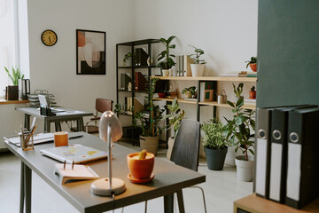 Medium shot of bright office decorated with wooden shelves with office supplies and houseplants in clay pots, two work desk with laptops and belongings