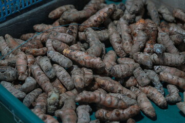 Turmeric is a rhizome (underground stem) of the plant Curcuma longa, belonging to the ginger family (Zingiberaceae). It is widely used in cooking, traditional medicine, and cosmetics 